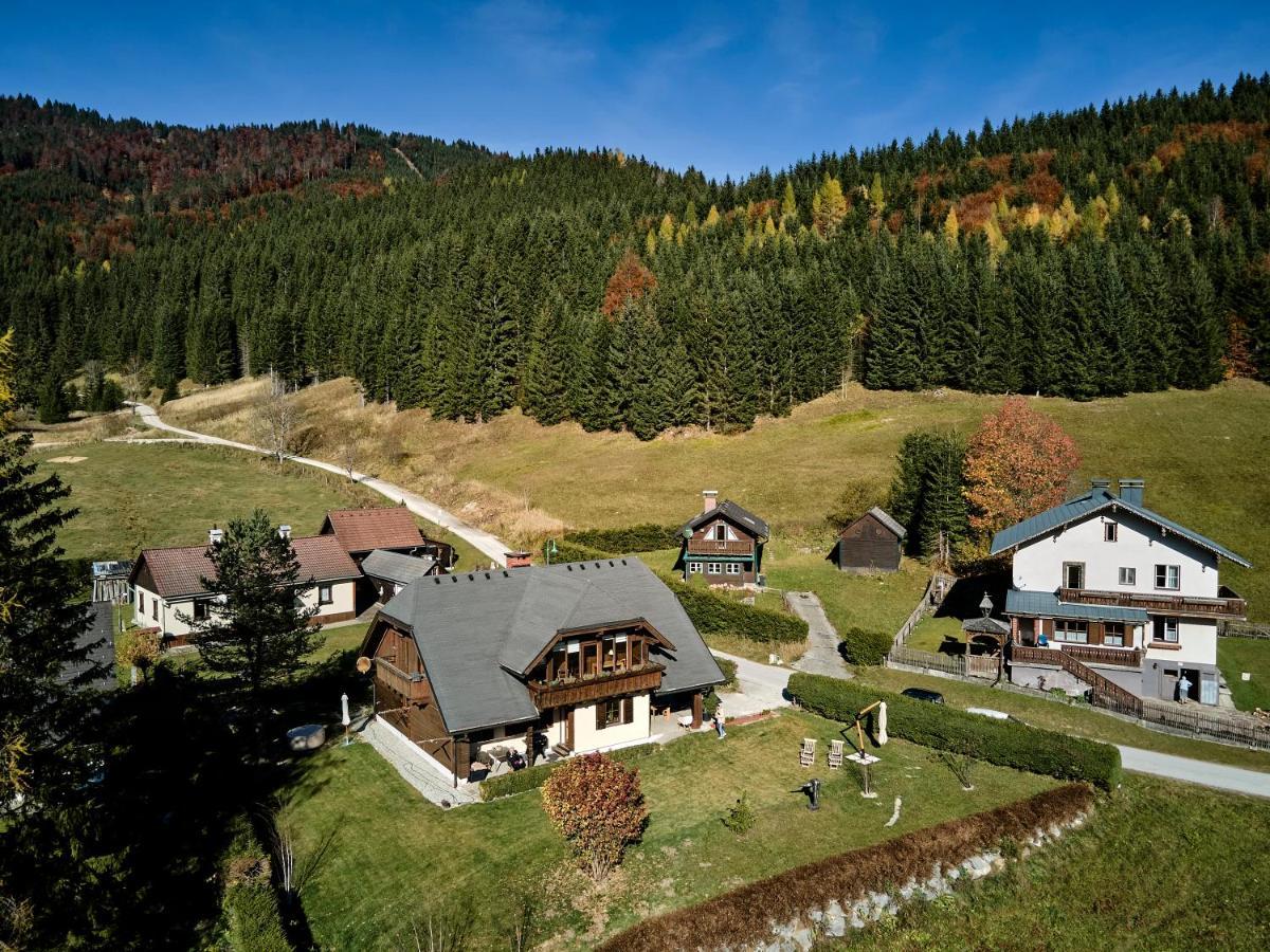 Frein Chalets - Wildalm Frein an der Murz Exteriör bild
