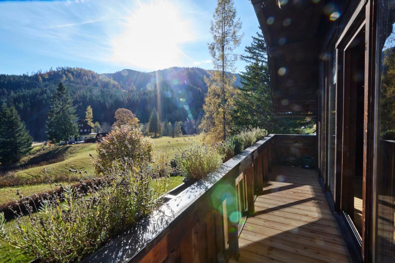 Frein Chalets - Wildalm Frein an der Murz Exteriör bild