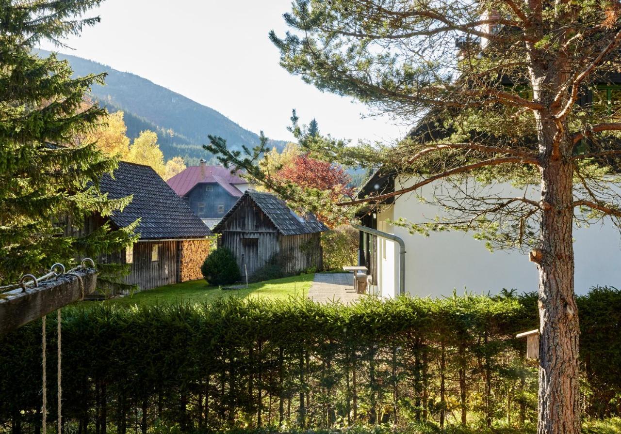 Frein Chalets - Wildalm Frein an der Murz Exteriör bild