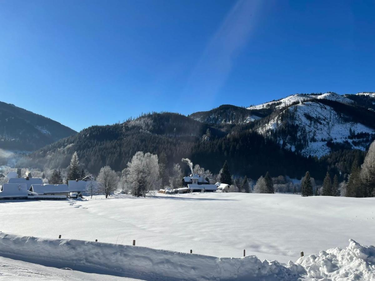 Frein Chalets - Wildalm Frein an der Murz Exteriör bild