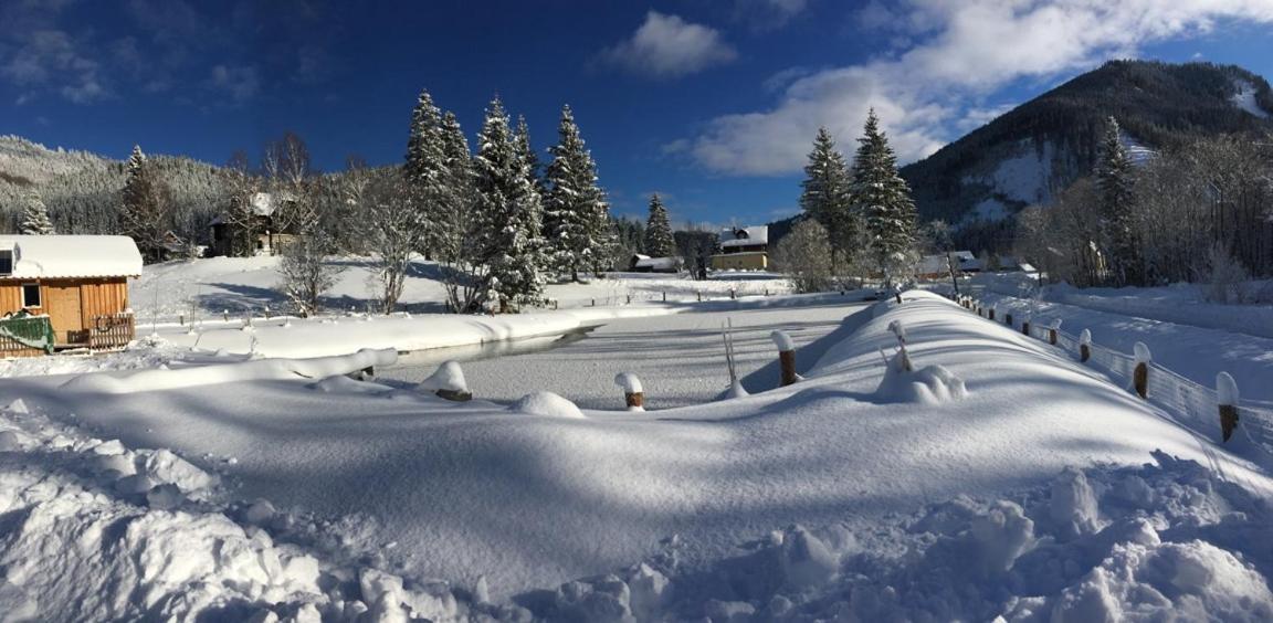 Frein Chalets - Wildalm Frein an der Murz Exteriör bild